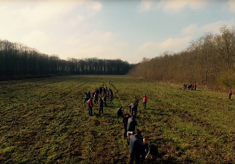 Padurea clientilor TSG. Vezi Filmul.
